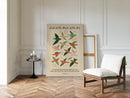 Look at the Birds of the Air Print