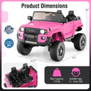 24V 2 Seater Ride on Car 4WD/2WD Switchable for Kids with Remote for Ages 3+ by LJGDeals