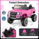 24V 2 Seater Ride on Car 4WD/2WD Switchable for Kids with Remote for Ages 3+ by DirectDeals
