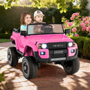 24V 2 Seater Ride on Car 4WD/2WD Switchable for Kids with Remote for Ages 3+ by LJGDeals
