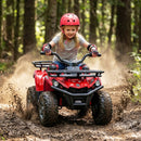 24V Electric Ride On Quad with LED Headlights by LJGDeals