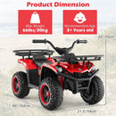 24V Electric Ride On Quad with LED Headlights by LJGDeals
