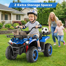24V Electric Ride On Quad with LED Headlights by LJGDeals