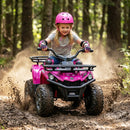 24V Electric Ride On Quad with LED Headlights by LJGDeals