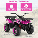 24V Electric Ride On Quad with LED Headlights by LJGDeals