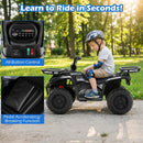 24V Electric Ride On Quad with LED Headlights by LJGDeals
