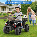 24V Electric Ride On Quad with LED Headlights by LJGDeals