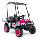 24V Kids Golf Cart 4WD 2-Seater Ride on Car with Storage Trunk and Horn by LJGDeals