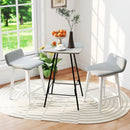 24 Inch Counter Height Bar Stools Set of 2 with Low Back
