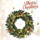 24‚Äù Pre-lit Christmas Wreath Set of 2 Front Door Artificial Xmas Wreath with 90 Frosted Branch Tips by DirectDeals
