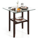 24 Inch 2-Tier Square Glass Coffee Table Center Table with Storage Shelf-Brown by LJGDeals