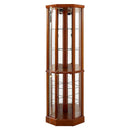 6 Shelf Lighted Corner Curio Cabinet with Adjustable Tempered Glass Shelves and Mirror Back, Oak