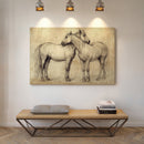 Equine Companionship Study