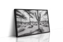 Saguaro Silence in Black and White