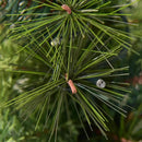 LED Christmas Tree with Red Berries Pine Cones by LJGDeals
