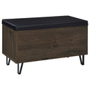 Clackamas - 2 Door Storage Bench With Padded Seat by HouseOfZazla