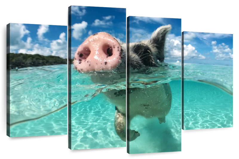 Swimming Pig Wall Art