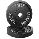 Synergee Standard Metal Weight Plates
