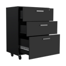 3 Drawers Storage Cabinet with Casters Lions Office, Black Wengue Finish