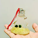 Live Moss Ball Aqua Plant Pet Ornament with Natural Yellow Citrine