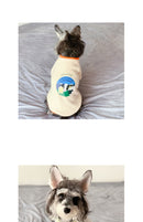 Clothes For Small Milk Cats To Keep Warm In Spring And Autumn British Short Pets