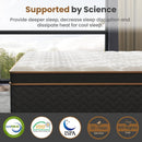 Plush Hybrid Mattresses With Gel Memory Foam, Individual Pocket Spring Motion Isolation Edge Support by HouseOfZazla