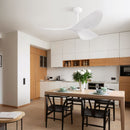 Ceiling Fan Without Light, DC Motor Remote Control Fan For Indoor / Outdoor Use - White by HouseOfZazla