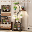 Plant Stand Indoor with Grow Lights - 62" Tall