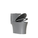 1 Piece Toilet With Dual Flush And Soft Closing Seat by HouseOfZazla