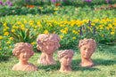D6X9" Visage Head Bust Planter - Brown by HouseOfZazla