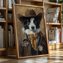 Border Collie Western Marshal