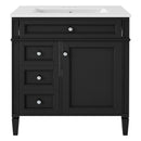 Bathroom Vanity With Top Sink, Storage Cabinet With 2 Drawers, Tip Out Drawer by HouseOfZazla
