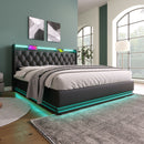 Upholstered Bed, 360 Surround LED Function, Remote Control, Hydraulic Storage Bed With USB, Type-C Charging (Without Mattress) by HouseOfZazla
