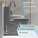 1 Piece Toilet With Tornado Flush, Dual Flush, And ADA Height Comfort Chair by HouseOfZazla