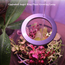 LED Grow Light Full Spectrum Angel Ring Phyto Grow Lamp USB Phytolamp For Plants 5V Lamp Indoor Flower Greenhouse Plant Seedling