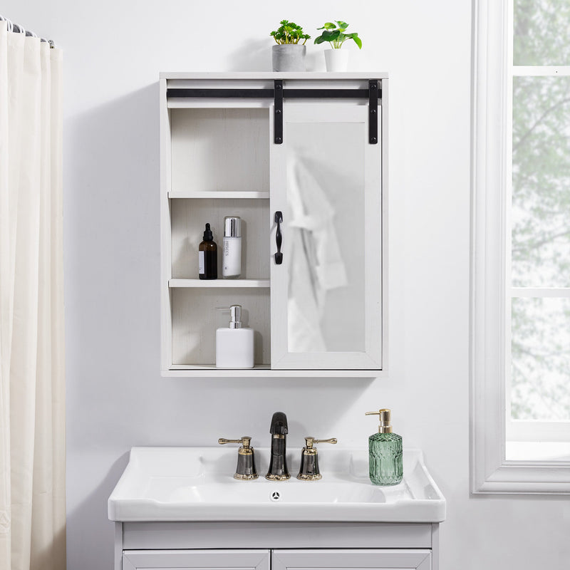 Barn Door Wall Storage with Mirror