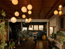 28 Single Pendant Lamp