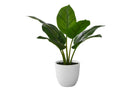 17" Tall Aureum Artificial Indoor Plant in White Pot by HouseOfZazla