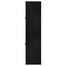 Denison 67-inch 2-door Media Tower Storage Cabinet Black