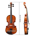 Yescom Full Size Violin Advanced Student Fiddle w/ Bow Case Set A