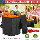 GBruno Collapsible Grocery Cooler Bag