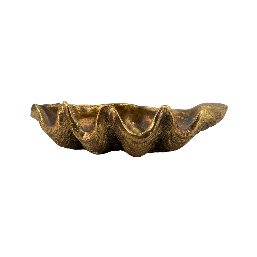 19.7x10.6x5.5" Decorative Shell Bowl, photo 3 of 9