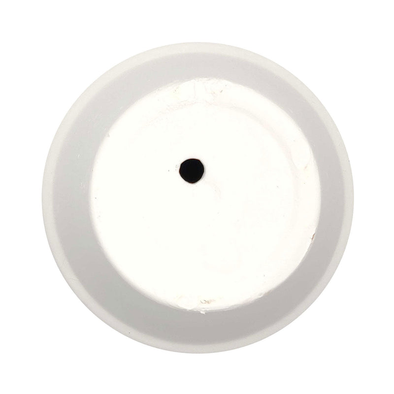 2'' White Clay Pot