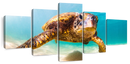 Hawaiian Turtle Wall Art