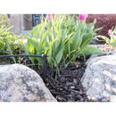 1/4" Barb 2 GPH PC Dripper on 5" Stake | 65702