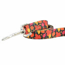 Falling Leaves Dog Leash – EarthStyle