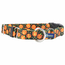 Jack O Lantern Buckle Martingale Dog Collar – EarthStyle