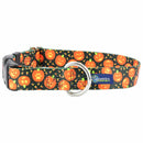 Jack O Lantern Dog Collar – EarthStyle