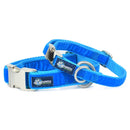 Venetian Blue Velvet Essential Buckle Martingale Dog Collar