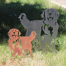 Golden Retriever - Standing
